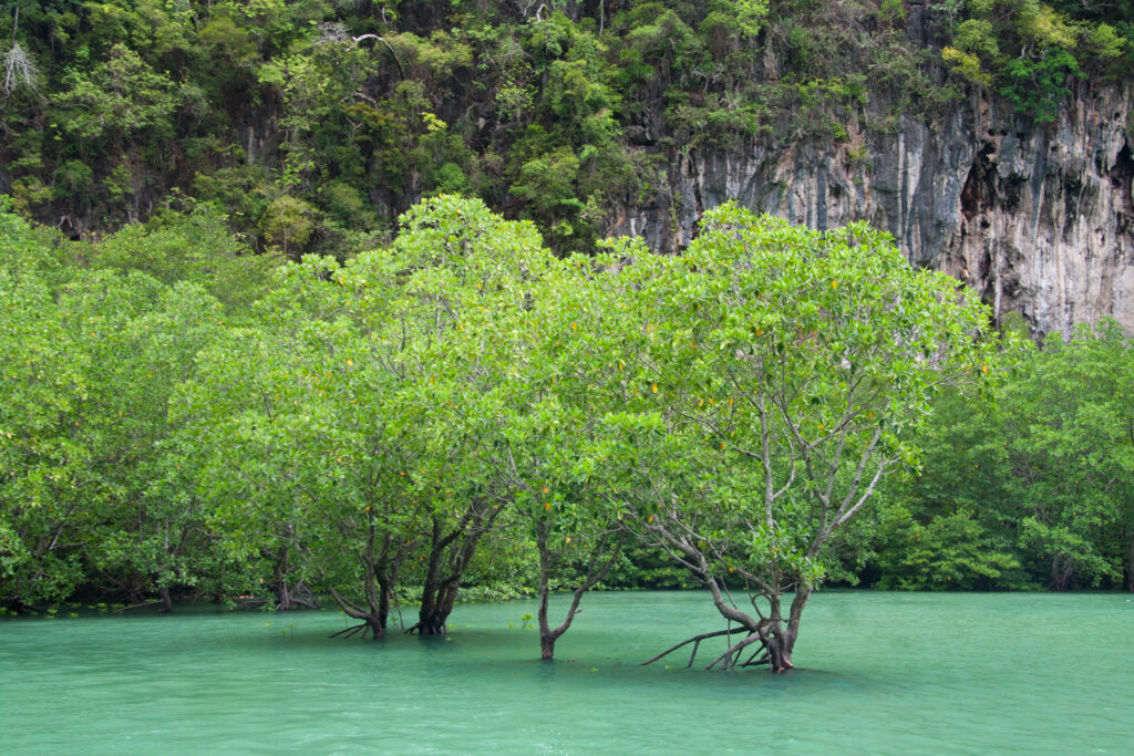 Hong Lagoon